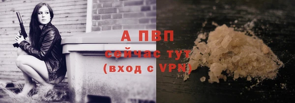 apvp Алексин