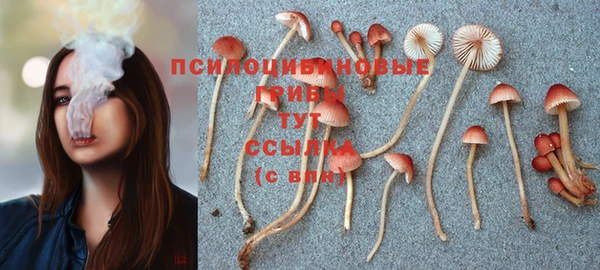 круглые Алзамай
