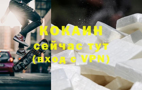 apvp Алексин