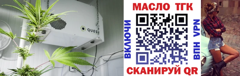ТГК THC oil Кедровый