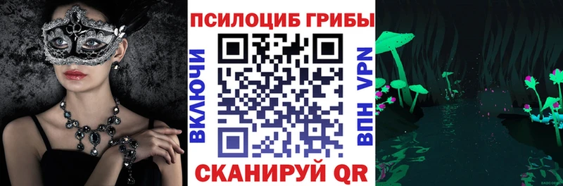 Псилоцибиновые грибы мицелий  где можно купить наркотик  ссылка на мегу   Кедровый 